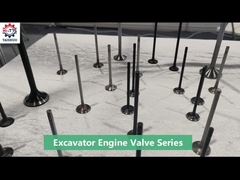 Auspuffventil für den Motoreingang 191-6760 1916760 266-8718 2668718 3508 Motorventil