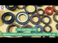 Öldichtungs-Reparatur-Set - Boom-Cyl-Kit/Bucket-Cyl-Kit/Arm-Cyl-Kit