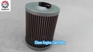 FF5584 P550839 7029275 20549350 Kraftstofffilter