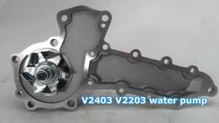 V2403 V2203 Wasserpumpe