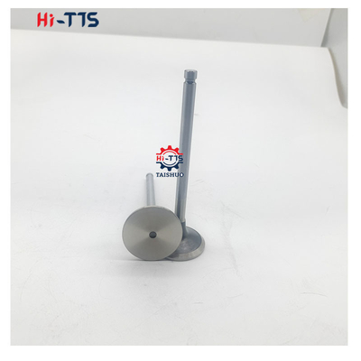 4BT 6BT 6D102 Dieselmotoren Einlassventil Auslassventil 4995554 3901117 3920867 3920868