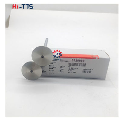 4BT 6BT 6D102 Dieselmotoren Einlassventil Auslassventil 4995554 3901117 3920867 3920868