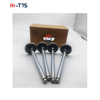 D2366 Dieselmotor-Ersatzteile Einlassventil 6504101-0044