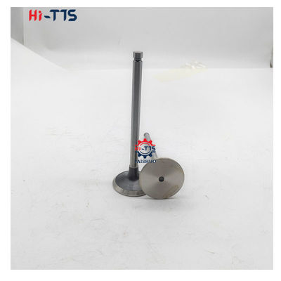 6BT 4BT Dieselmotor Ersatzteile Einlassventil 3901117 3920867 3920868