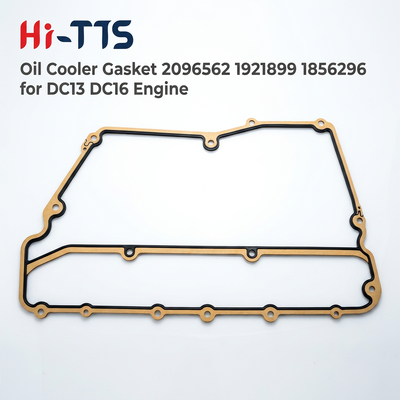 Motorölkühler-Abdeckungsdichtung. OEM-Teilenummern: 2096562, 1921899, 1856296