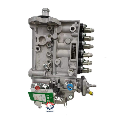 Ein guter Preis. Hochdruckkraftstoffeinspritzdüse 3973900 des Dieselmotor-6CT 8,3 Online